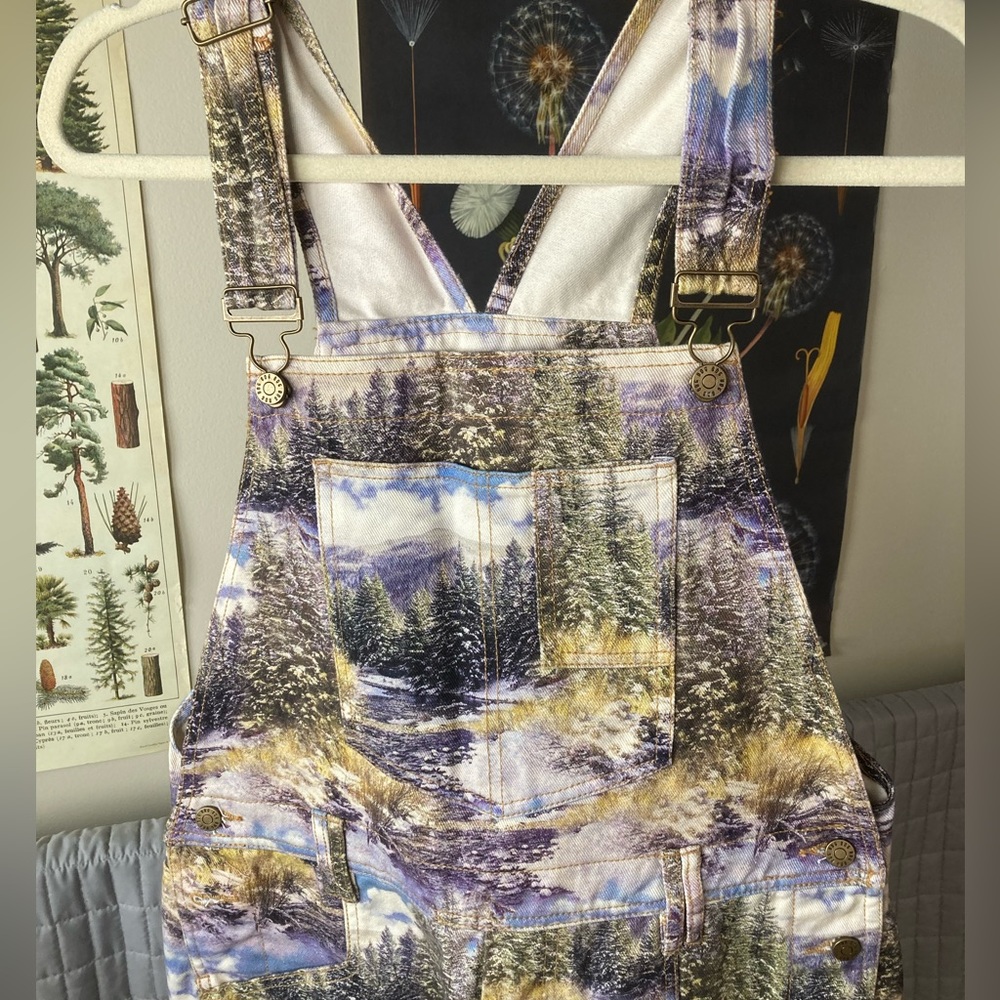 BDG overalls- mountain watercolor print